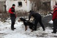 /album/treningy-zachranarstvo-rescue/a307650-461572603907375-259210349-n-jpg/