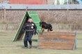 /album/treningy-zachranarstvo-rescue/a1393003-663999250288111-729839912-n-jpg/